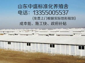 臨沂中盛保溫建材廠與安徽建材市場(chǎng)今日行情價(jià)格走勢(shì)分析