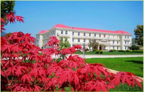 做綠色發展的先行者——安徽銅陵海螺水泥發展紀實